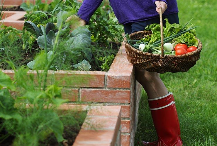 Préparation de potager près de Valenciennes